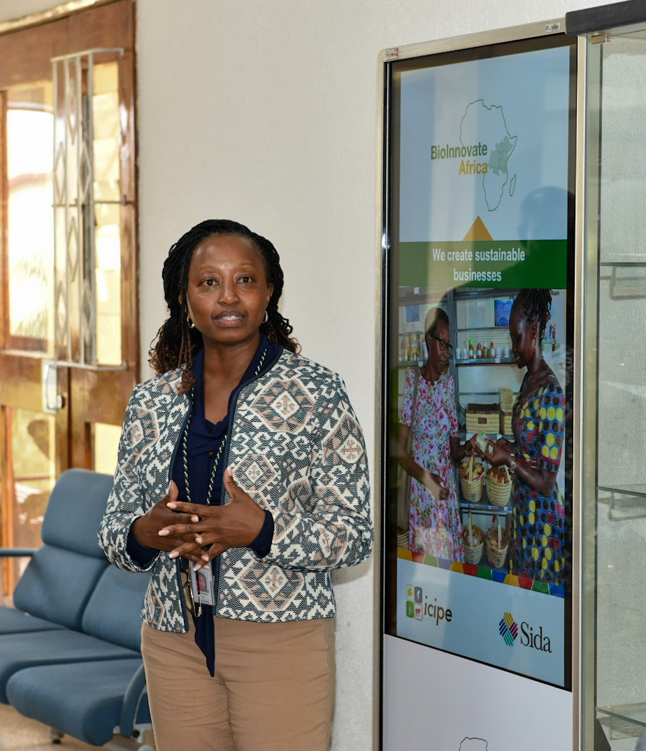 business incubation workshop